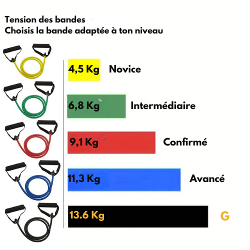 Bandes de Résistance "Forge du Guerrier"