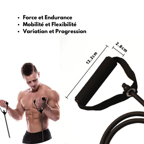 Bandes de Résistance "Forge du Guerrier"