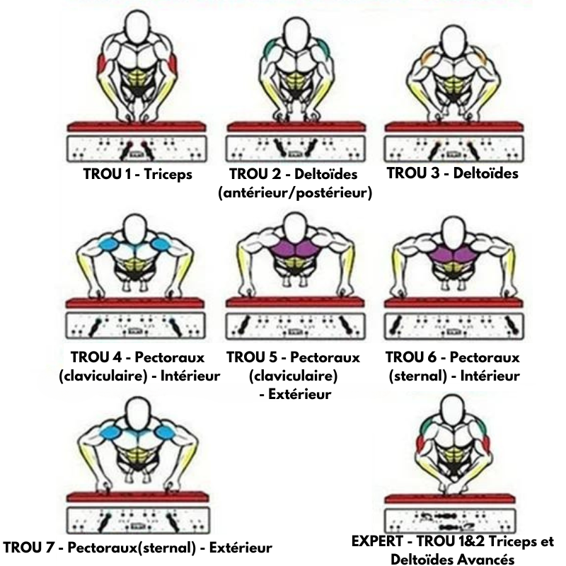 Planche Du Guerrier + Programme Top G